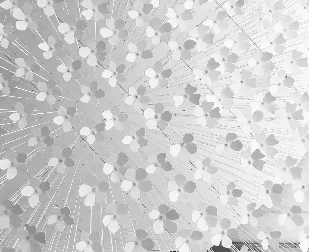 Maud Caubet architecte FLEURS2